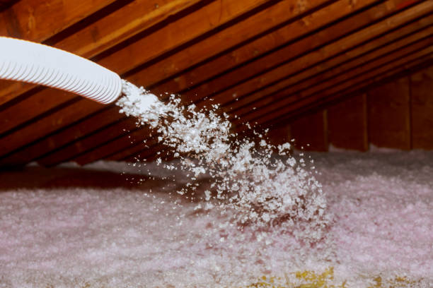 Best Insulation for New Construction  in Fairview Shores, FL