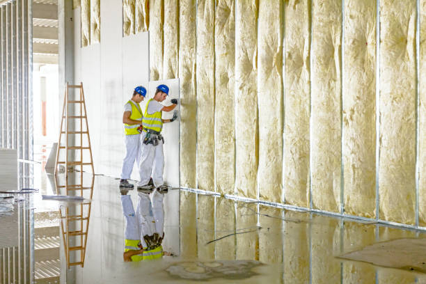 Best Soundproof Insulation Installation  in Fairview Shores, FL